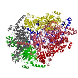 Image of CATH 1vrg