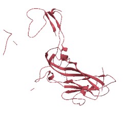 Image of CATH 1vrh