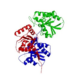 Image of CATH 1vsq