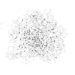 Image of CATH 1vt2