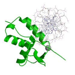 Image of CATH 1vtn