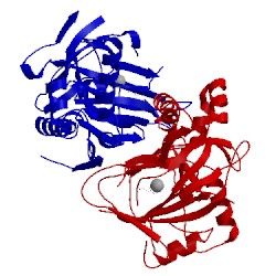 Image of CATH 1vz4