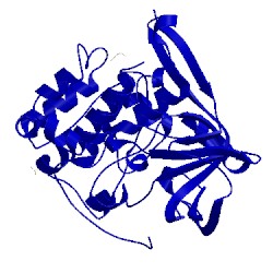 Image of CATH 1vzo