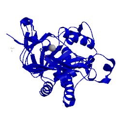 Image of CATH 1w04