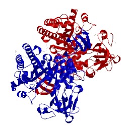 Image of CATH 1w1p