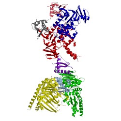 Image of CATH 1w1w