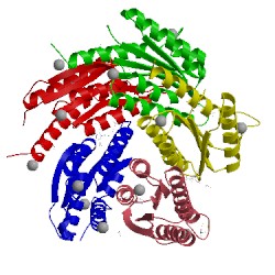 Image of CATH 1w29