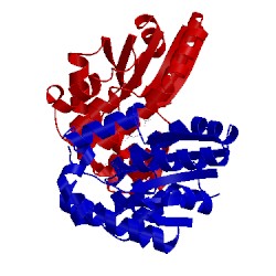 Image of CATH 1w2g