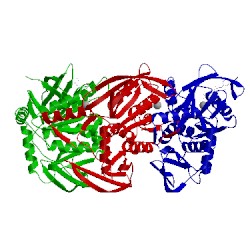 Image of CATH 1w46