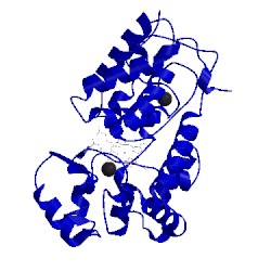 Image of CATH 1w4w