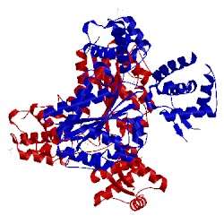 Image of CATH 1w5s