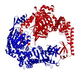 Image of CATH 1w7a