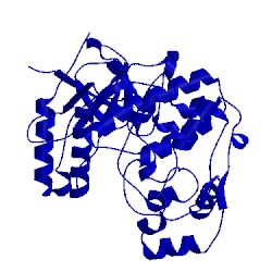 Image of CATH 1w7h