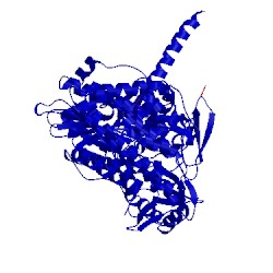 Image of CATH 1w7i