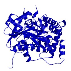 Image of CATH 1w7n