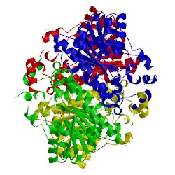 Image of CATH 1w8d