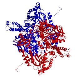 Image of CATH 1waf