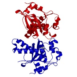 Image of CATH 1wb7