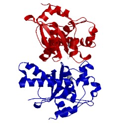 Image of CATH 1wb8