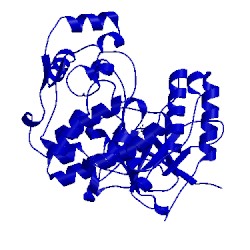 Image of CATH 1wbn