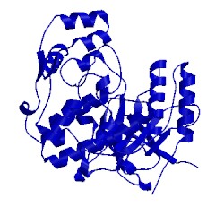 Image of CATH 1wbo