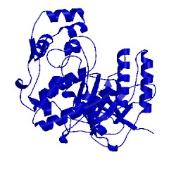 Image of CATH 1wbt