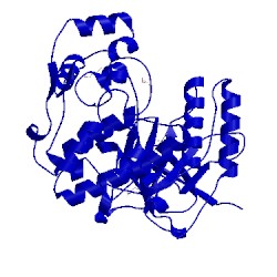 Image of CATH 1wbv