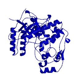 Image of CATH 1wbw