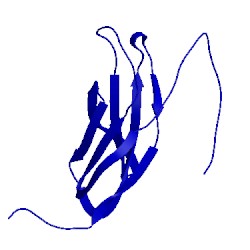 Image of CATH 1wfu