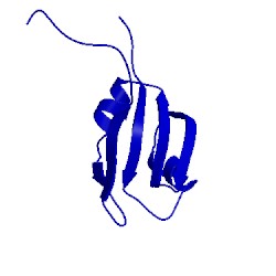 Image of CATH 1wg1