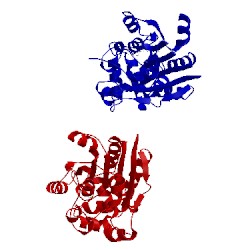 Image of CATH 1wg8