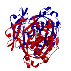 Image of CATH 1wgi