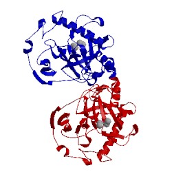 Image of CATH 1wgj