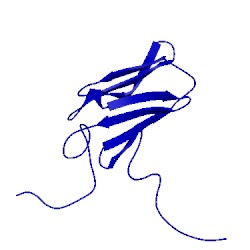 Image of CATH 1wgv
