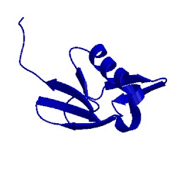 Image of CATH 1wih