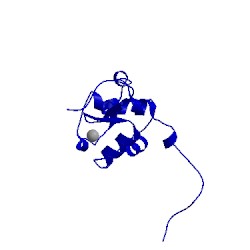 Image of CATH 1wir
