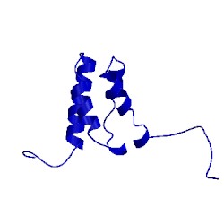 Image of CATH 1wjt