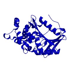 Image of CATH 1wm1