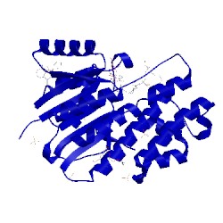 Image of CATH 1wma