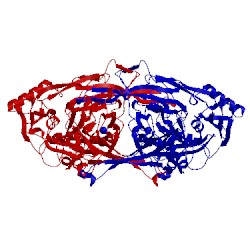 Image of CATH 1wmo