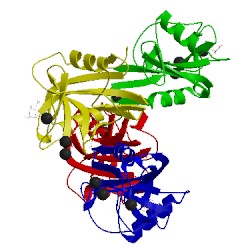 Image of CATH 1wmz
