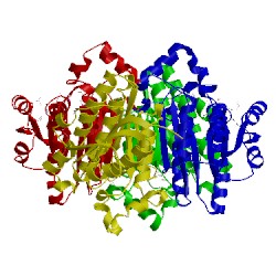 Image of CATH 1wnt