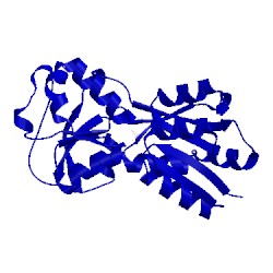 Image of CATH 1wod