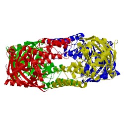 Image of CATH 1wok