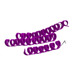 Image of CATH 1wqhA01