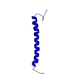 Image of CATH 1wrg