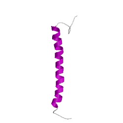 Image of CATH 1wrgA