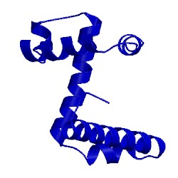 Image of CATH 1wrp