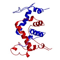 Image of CATH 1wrt