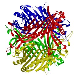 Image of CATH 1ws3